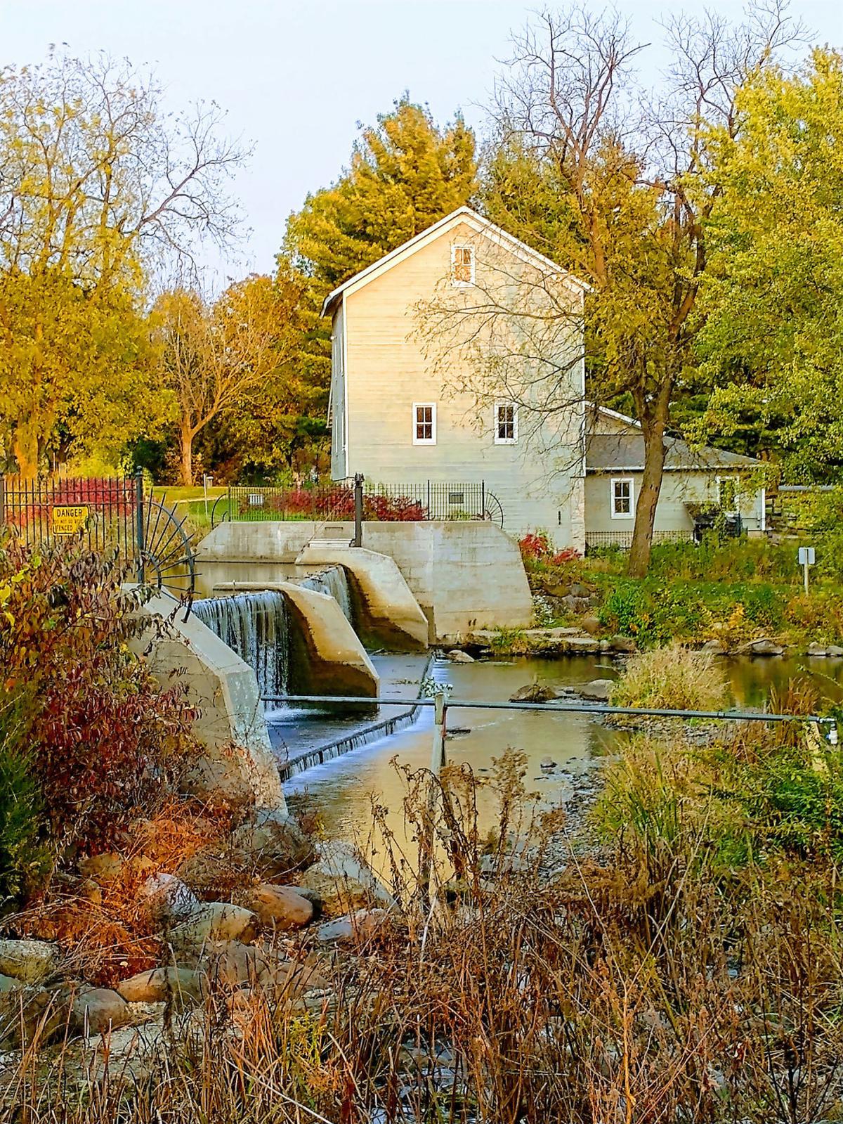 McCarthy_FallPhoto1