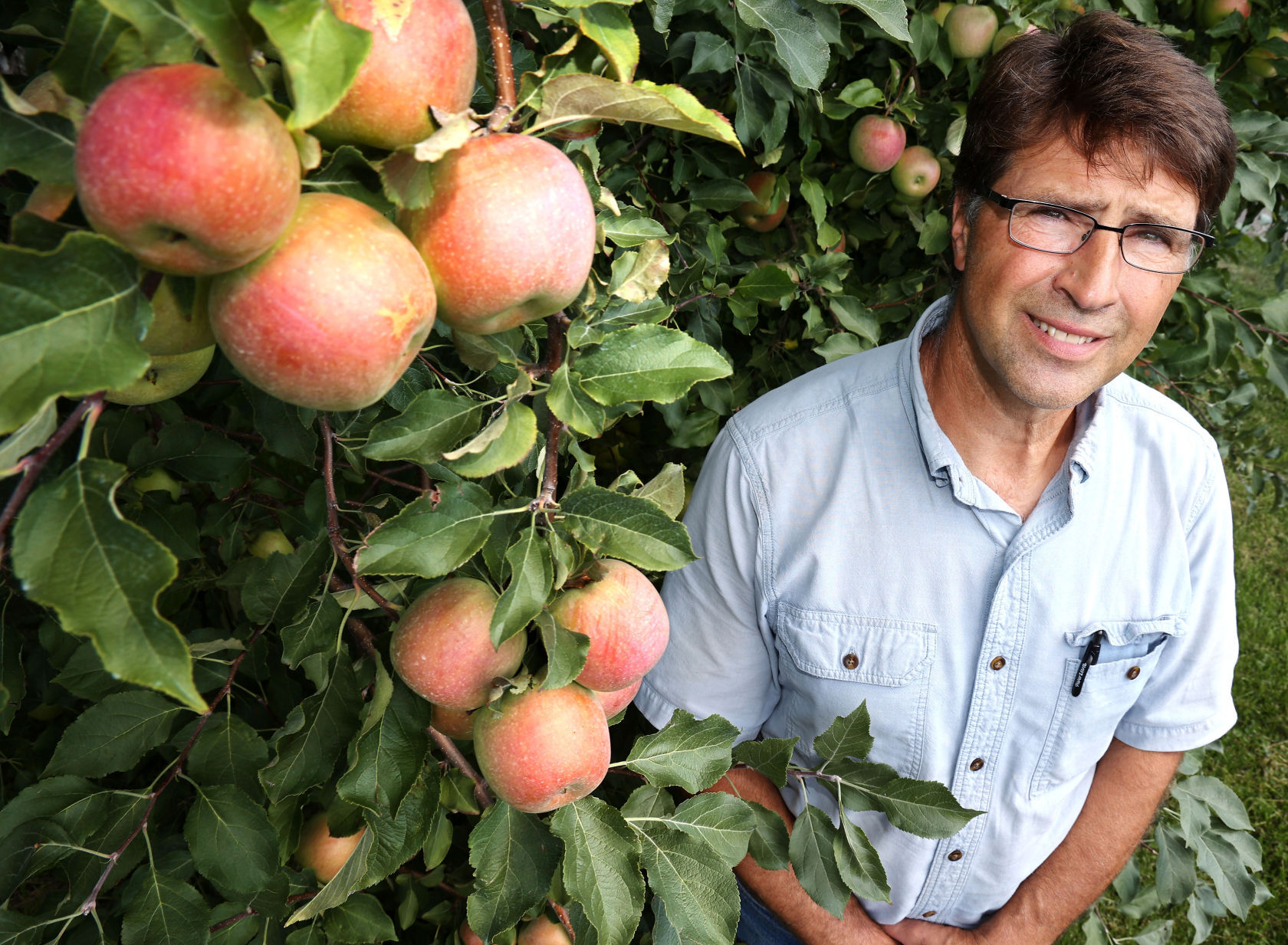 Orchards open and ready for visitors Daily Updates