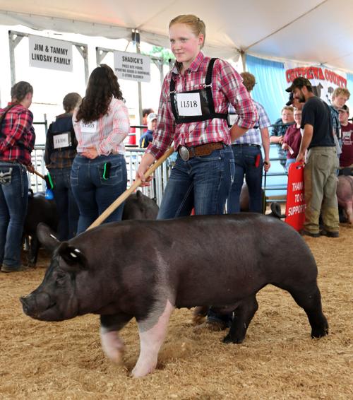 Fair Judging