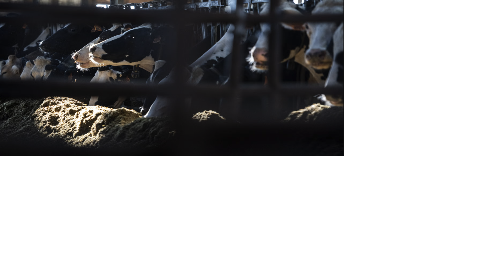 As the US and Canada slap new tariffs on goods, American farmers are stuck in the middle