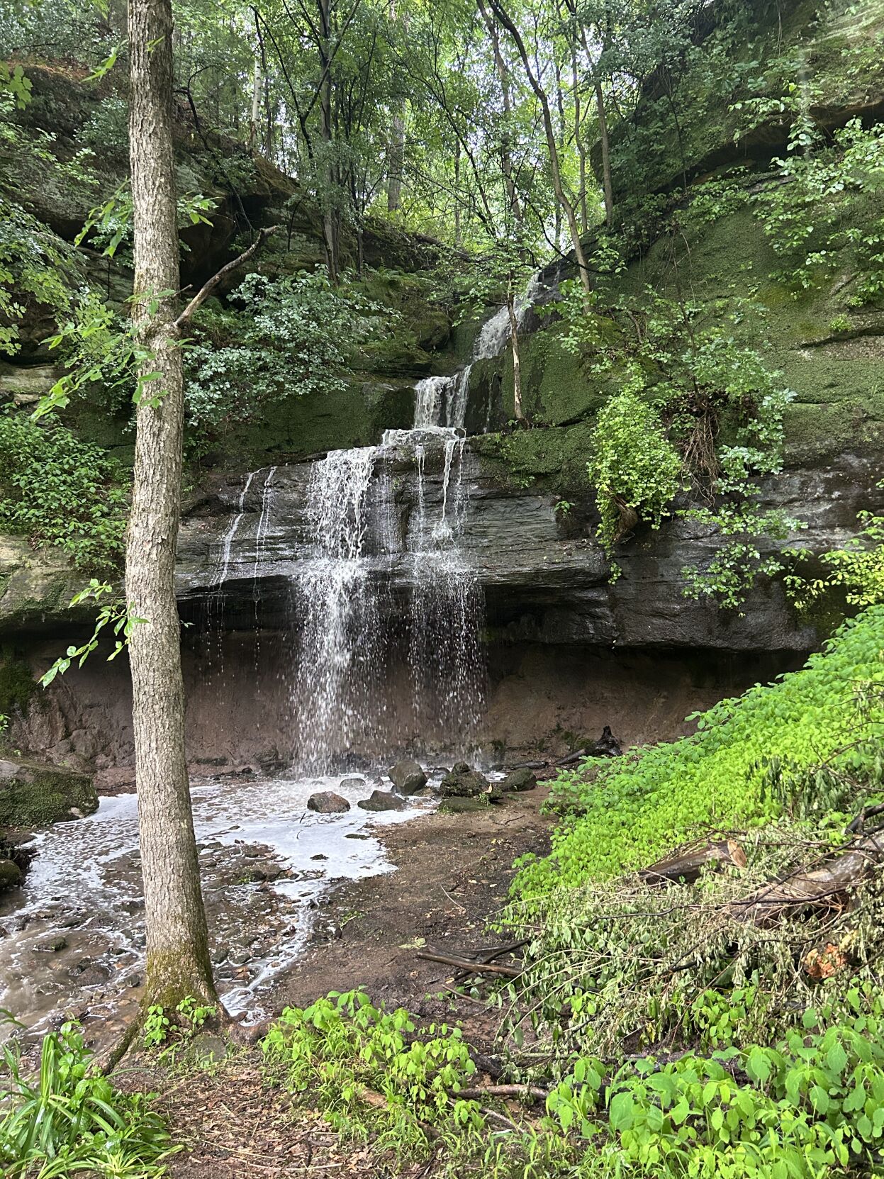 New hiking trail opens in Irvine Park Daily Updates