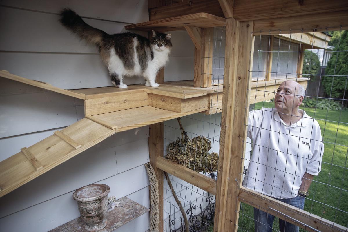 Seattle Catio Tour 2022