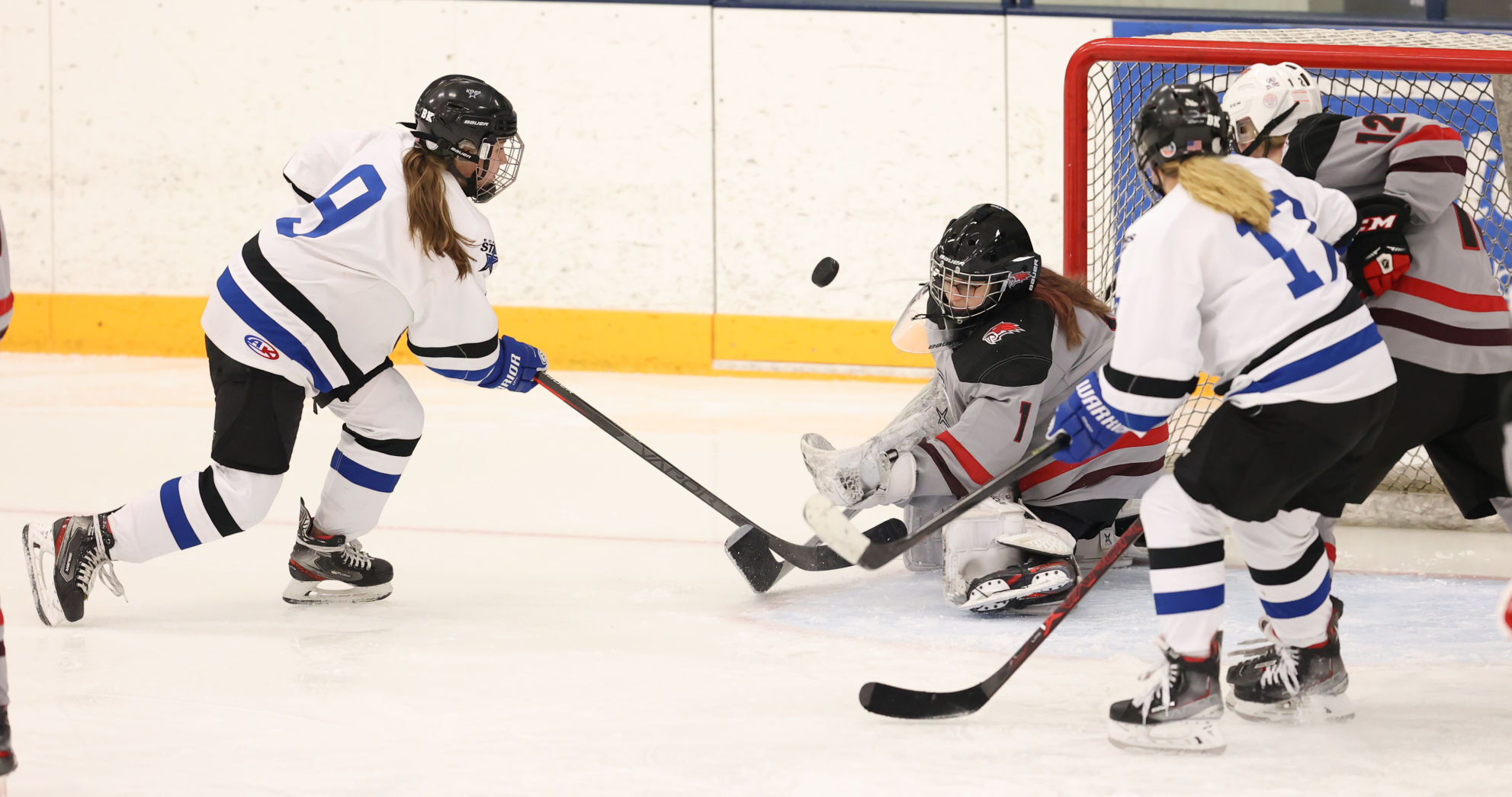 Prep girls hockey Chippewa Falls Menomonie bests Eau Claire Area