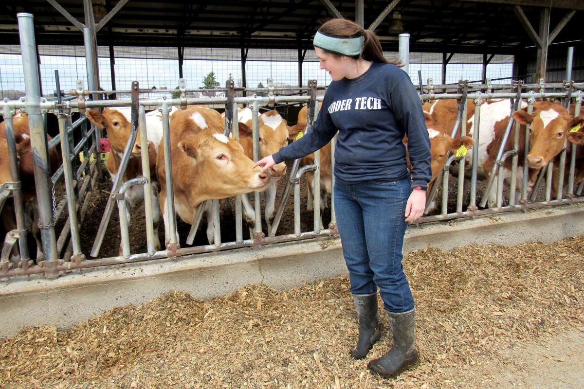 Fresh Out Of College Polk County Woman Returns To Family Dairy Farm Special Sections Leadertelegram Com