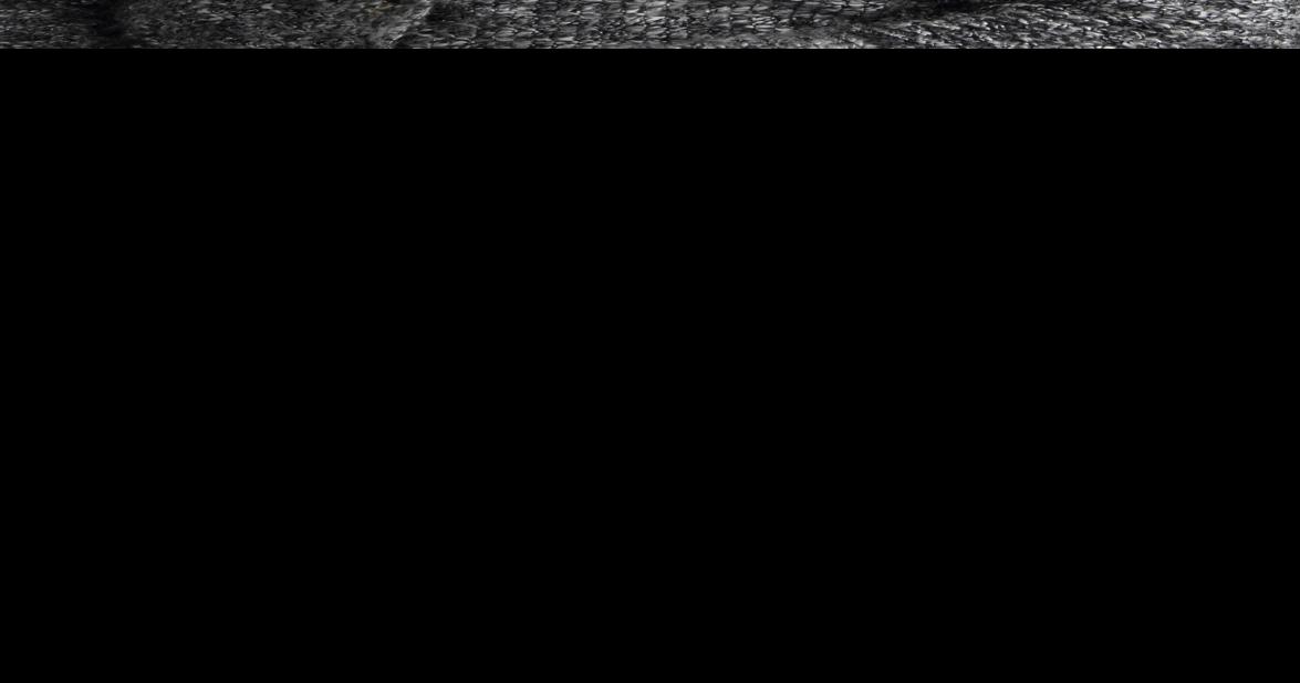 Cadott schools seek nearly 10 million referendum Daily Updates