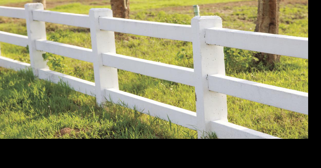 Fencing with neighbors Home and Garden