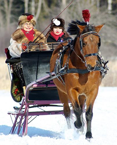Sleigh and Cutter Rally planned | Horses | leadertelegram.com