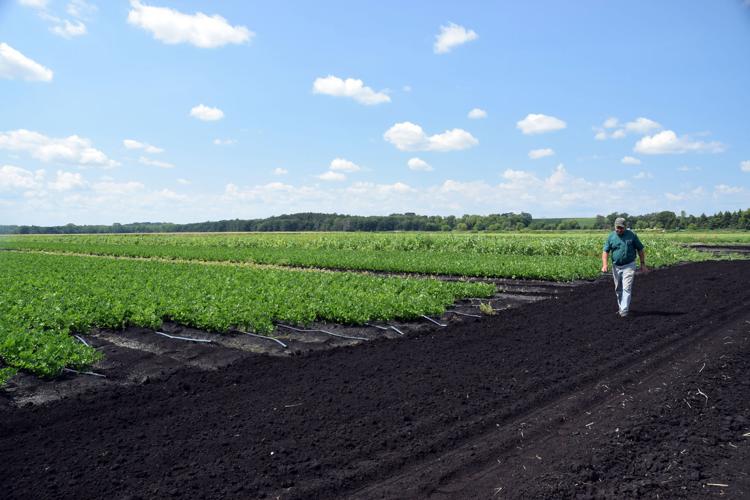 Playing in the dirt Green Lake County farmer loves challenge of muck