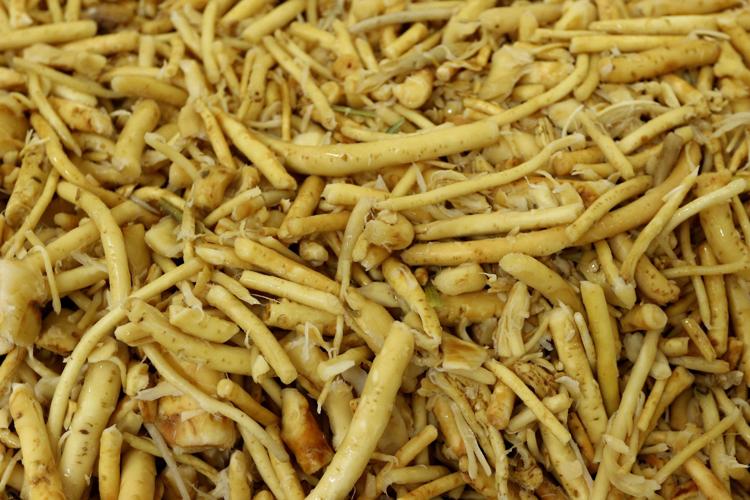 Hot ticket Horseradish farm set for hosting 2020 FTD Front Page