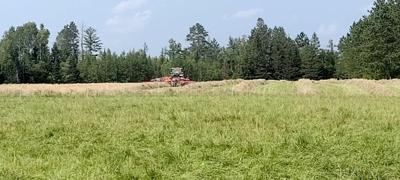 Down on the Farm:  A Haying Dilemma