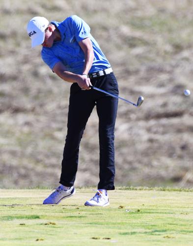 Rice Lake's Resnick brothers set to reunite on Stetson golf team ...