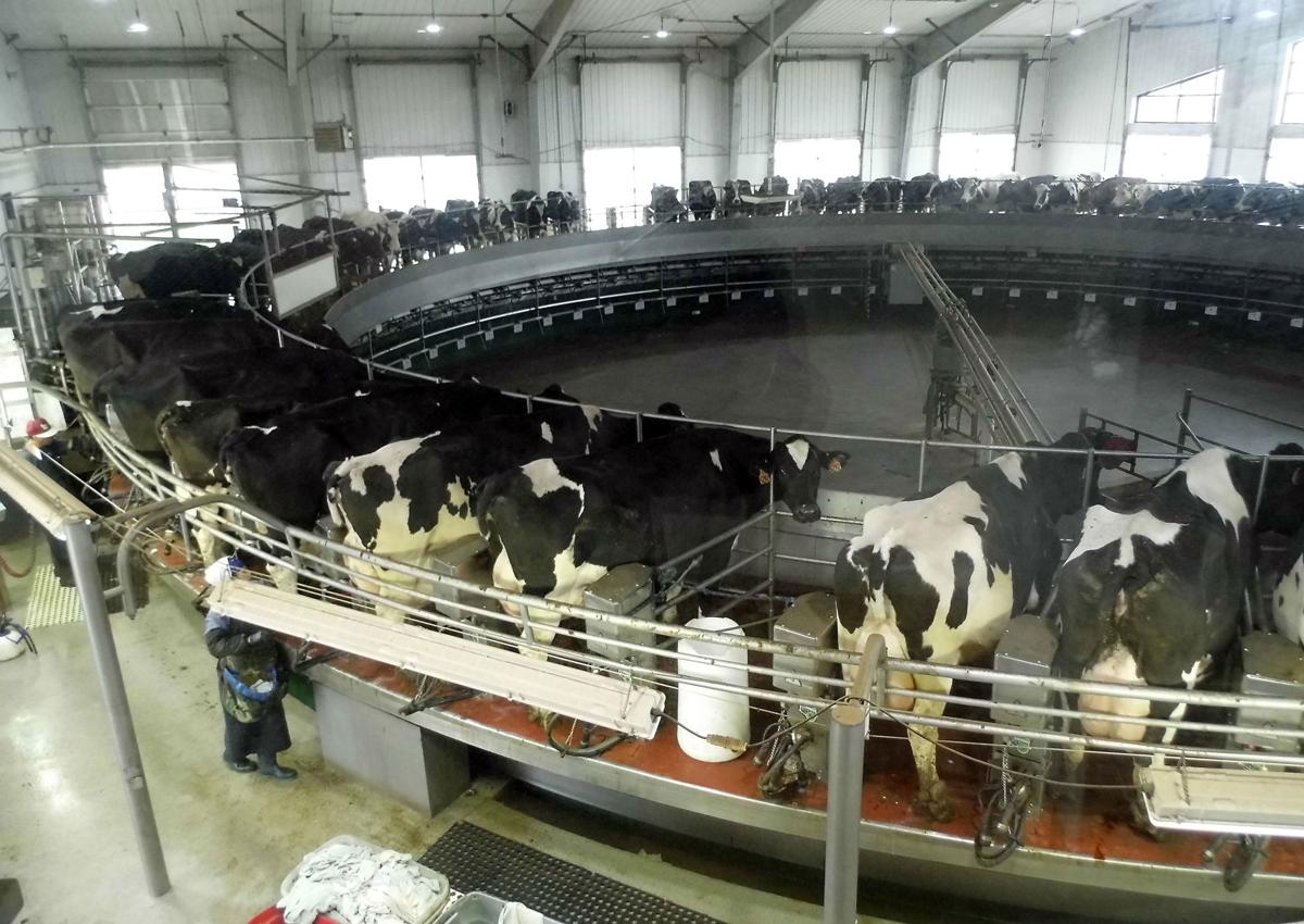 Norswiss Farms To Roll Out Welcome Mat Country Today Leadertelegram Com