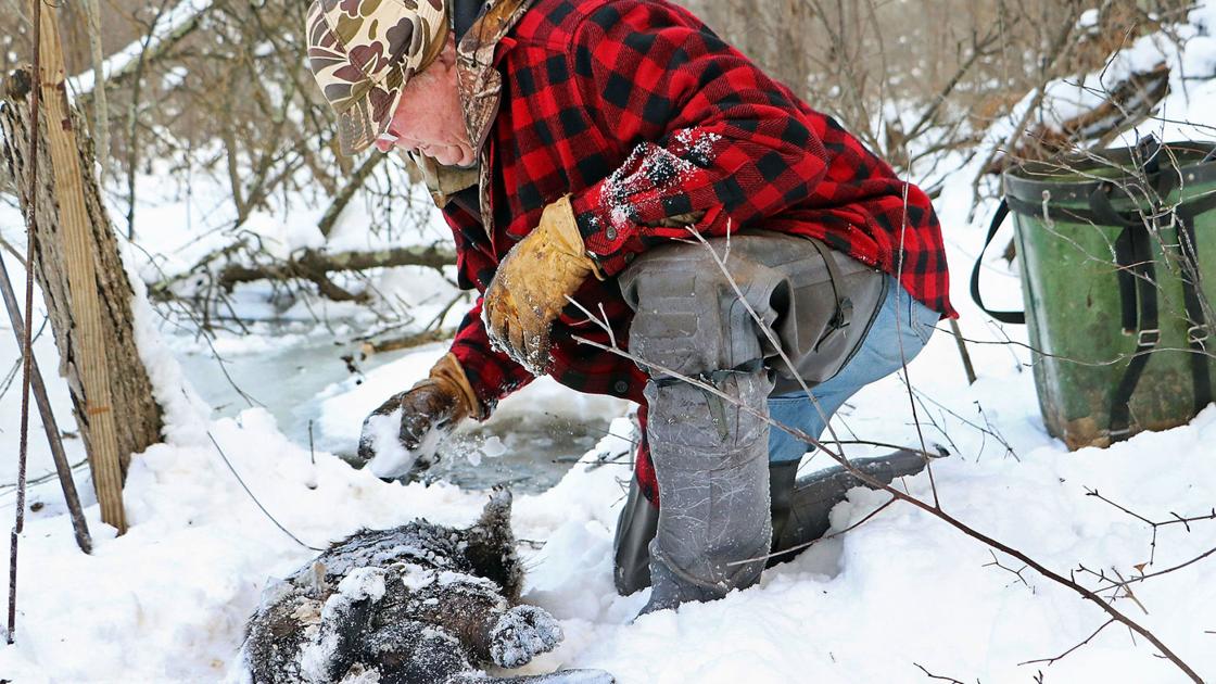 Outdoorsman Writes About 70 Years Of Trapping Front Page