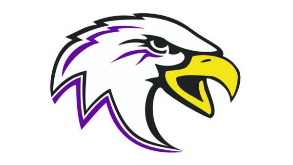 Area Roundup 6 23 Nichols Named New Memorial Volleyball Coach