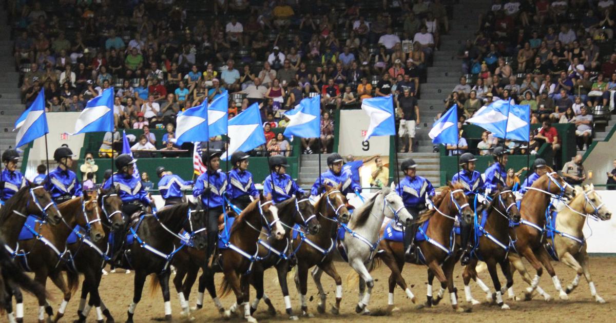 Mn State Fair Rodeo Minnesota State Fair Swine Barn gets makeover | Country Today ...