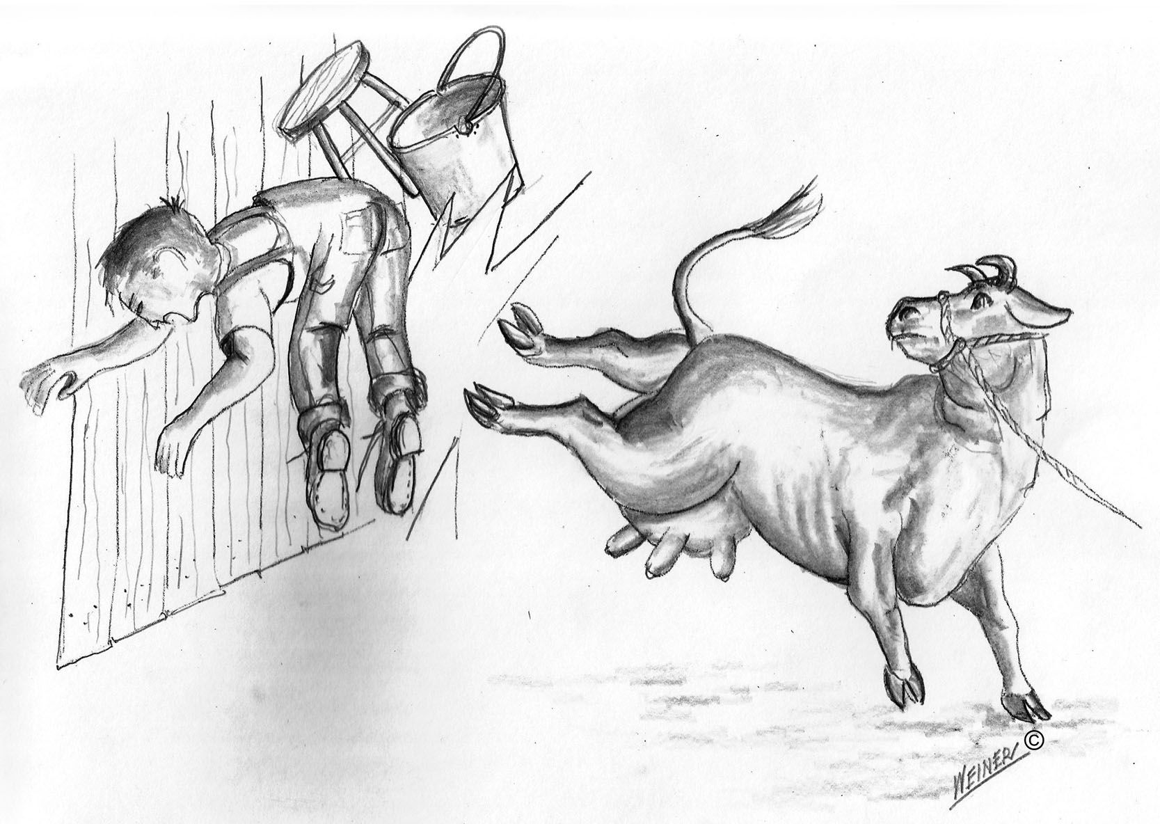 How to draw cow drawing easy steps/jallikattu cow drawing/ cow drawing‎@Ajipriya  Drawing - YouTube