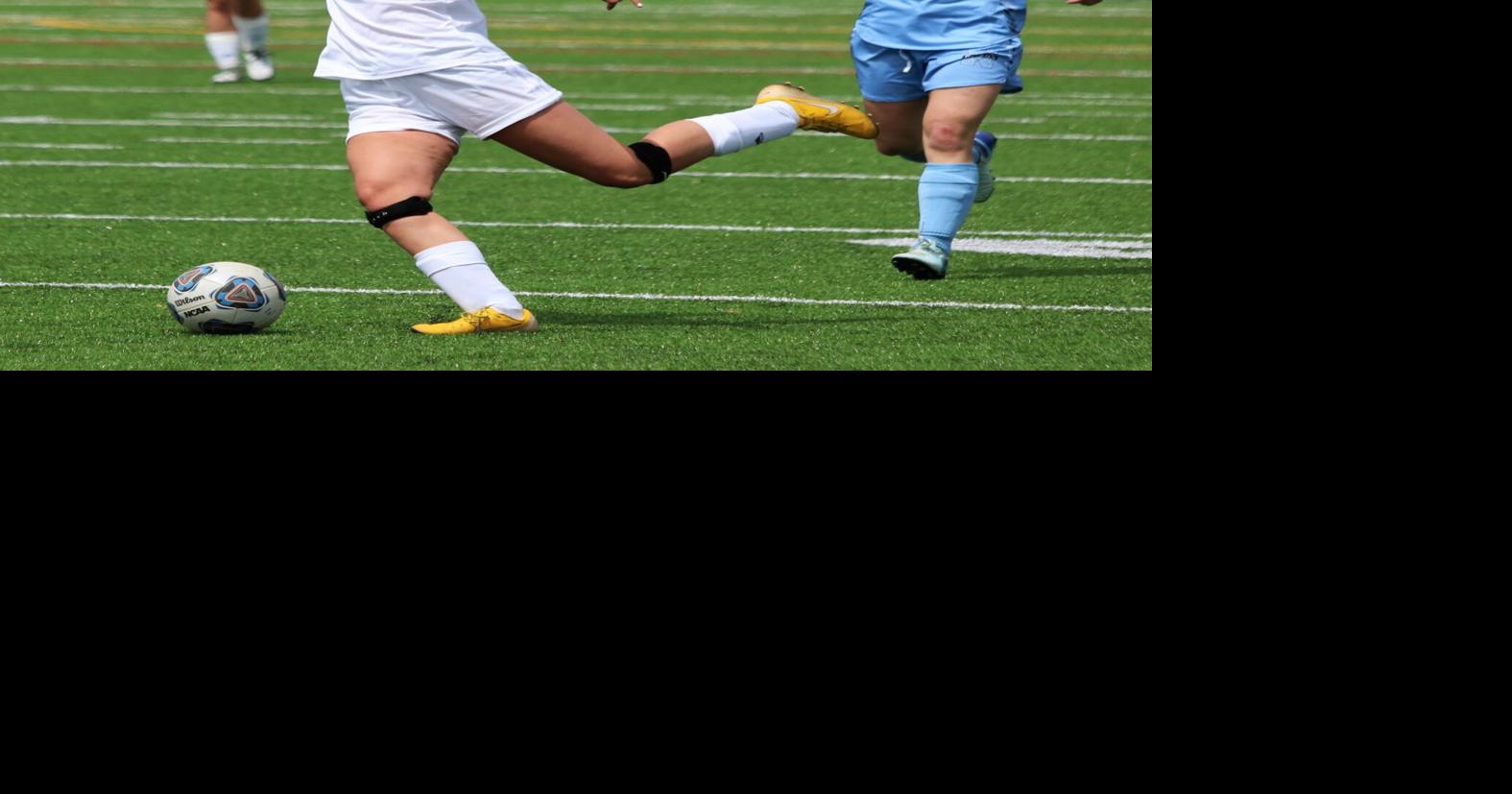 Regis Mcdonell Vs Eau Claire North Girls Soccer