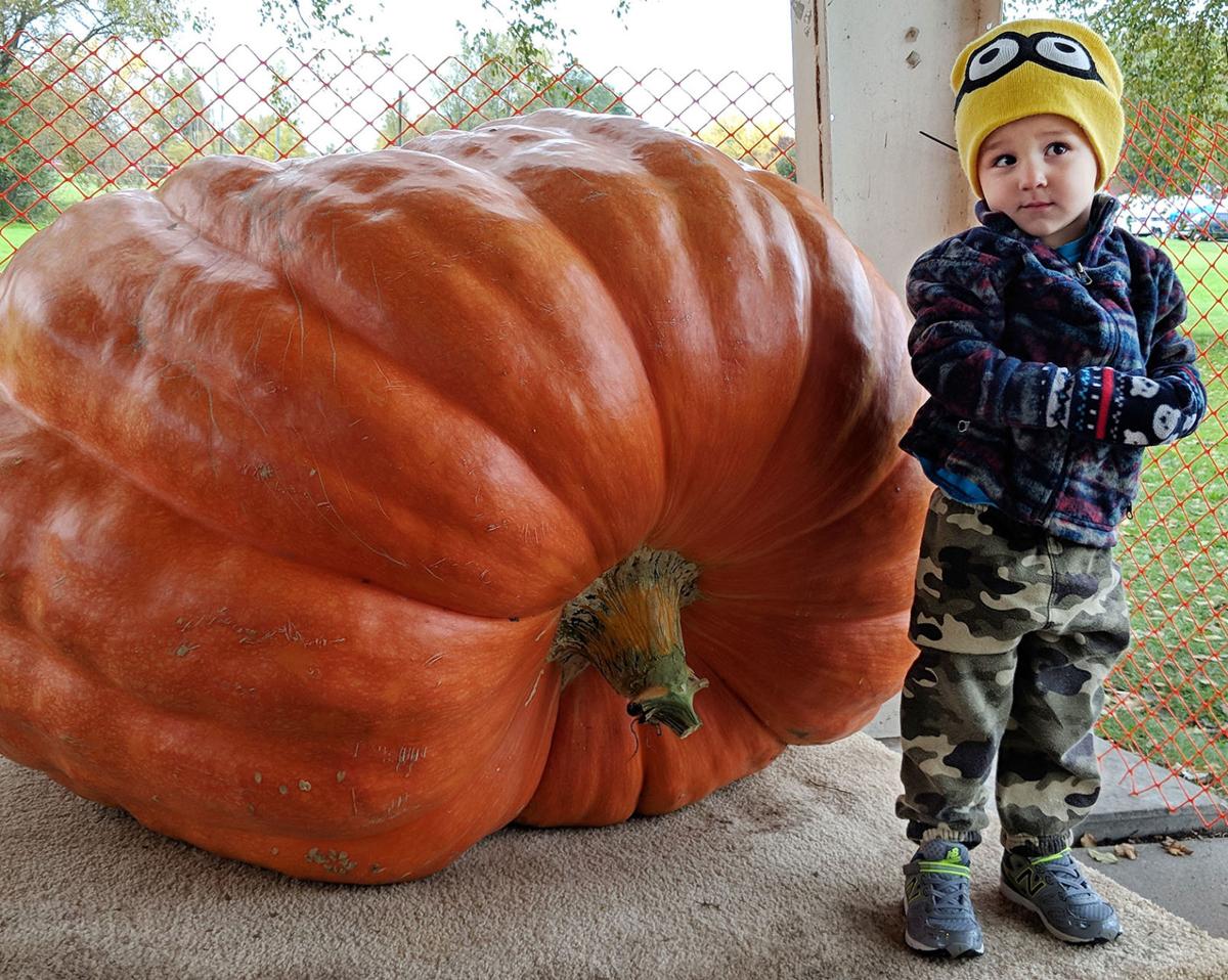 Mammoth produce celebrated at Nekoosa Giant Pumpkin Fest Country