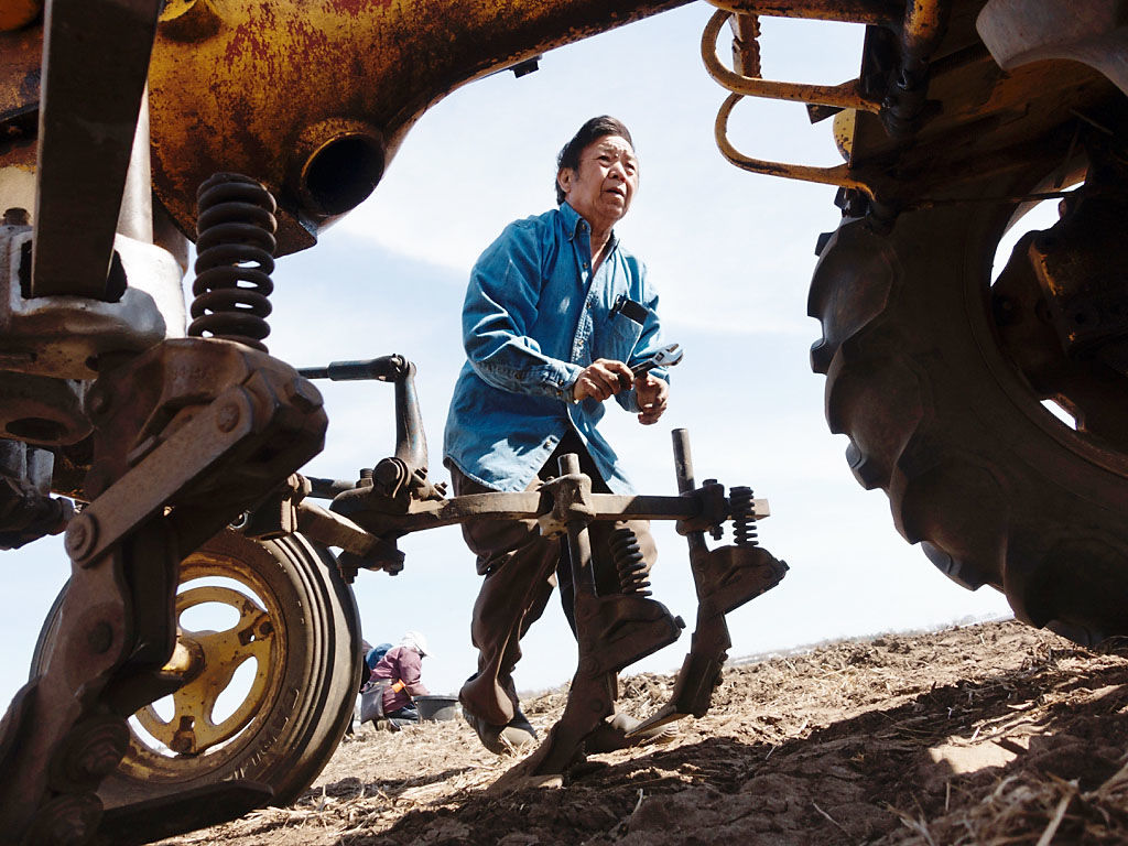 Planting A Seed Exhibit Aims To Cultivate Appreciation For Hmong American Farmers Country Today Leadertelegram Com