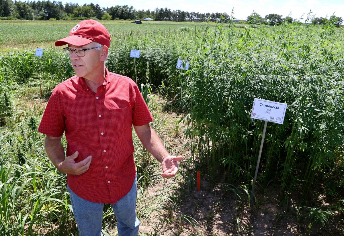 Agriculture agents continue hemp study | Daily Updates ...
