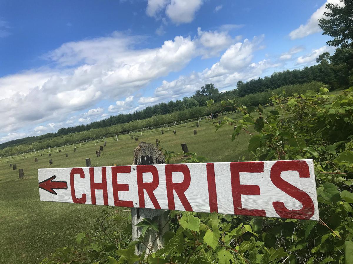 A tart, tasty tradition Cherry Lane Orchards ‘privileged’ to be part
