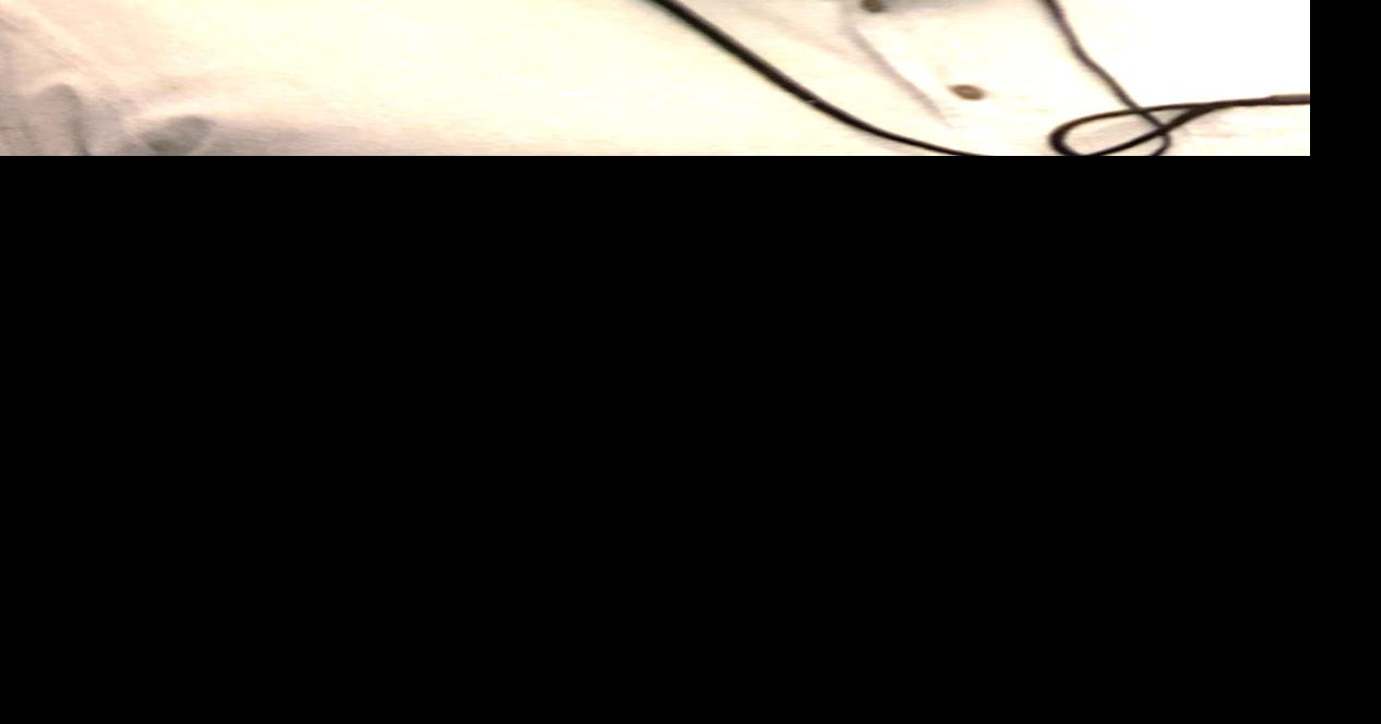 Raymond Burgess Obituaries