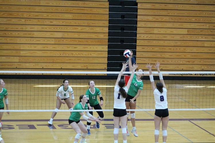 Maya Ridenour Ramblers' volleyball team pointed in good direction as season prepares ...