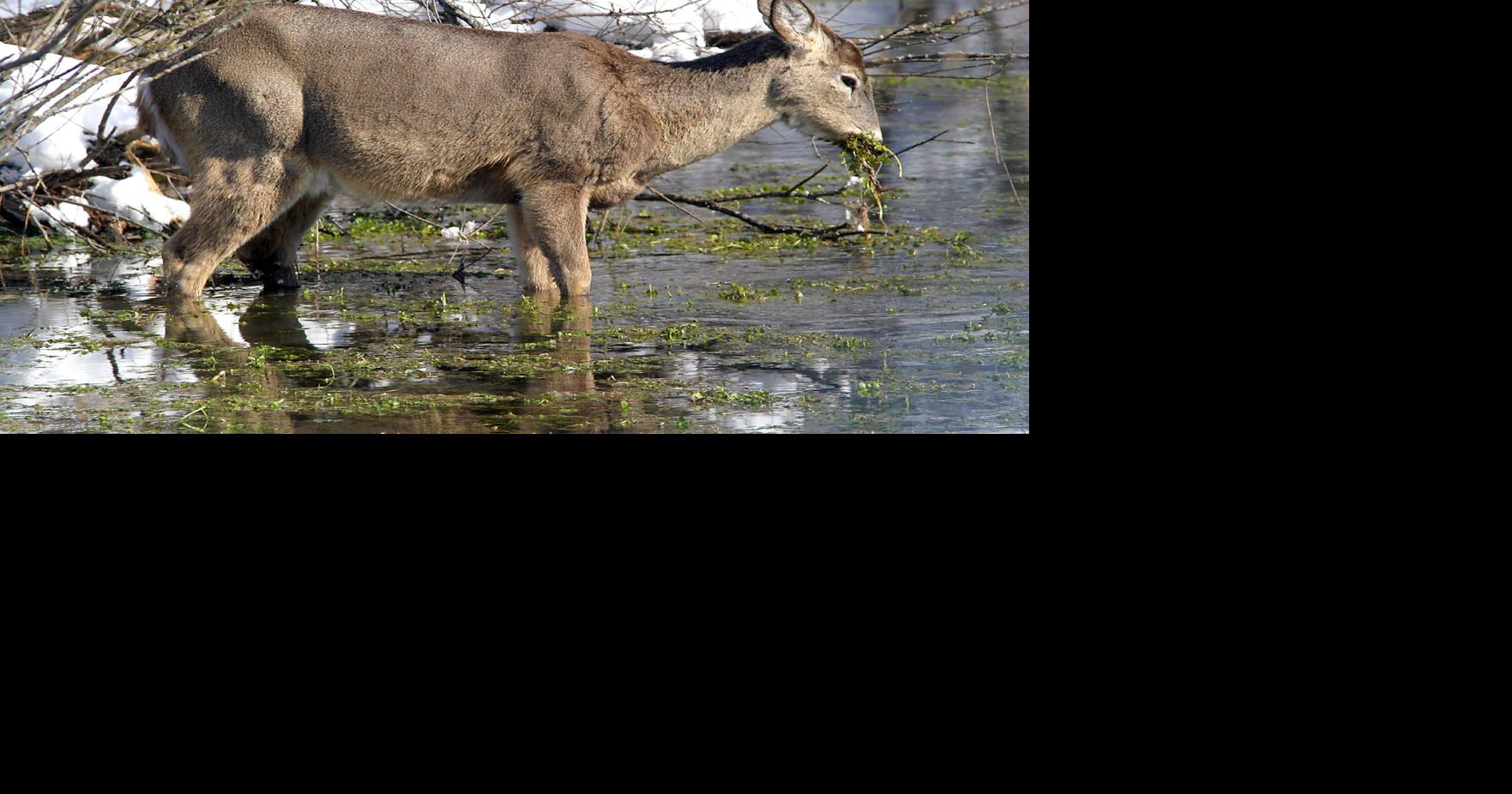 Winter severity index in Wisconsin rates normal Outdoors