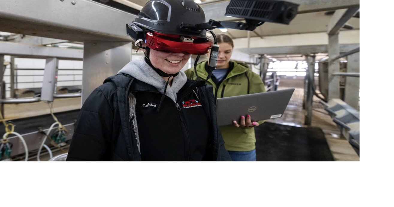 ‘Cow vision’ goggles let farmers see the world on 4 hooves — and may ...