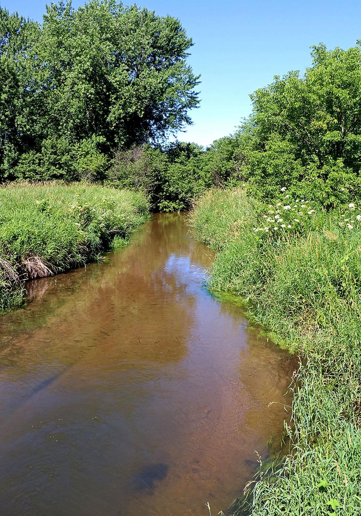 Habitat efforts improve quality trout stream near Sand ...