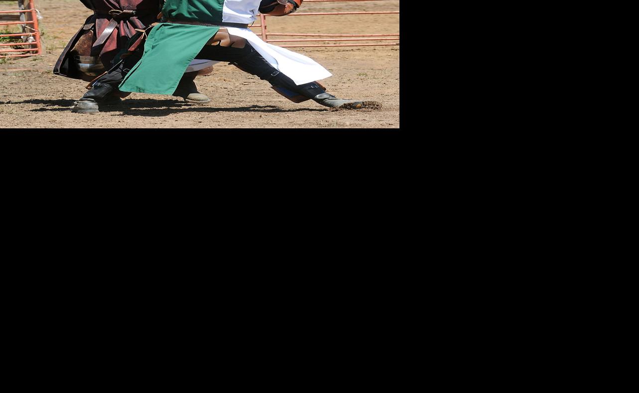 Plans revived for former Renaissance Faire grounds | Daily ...