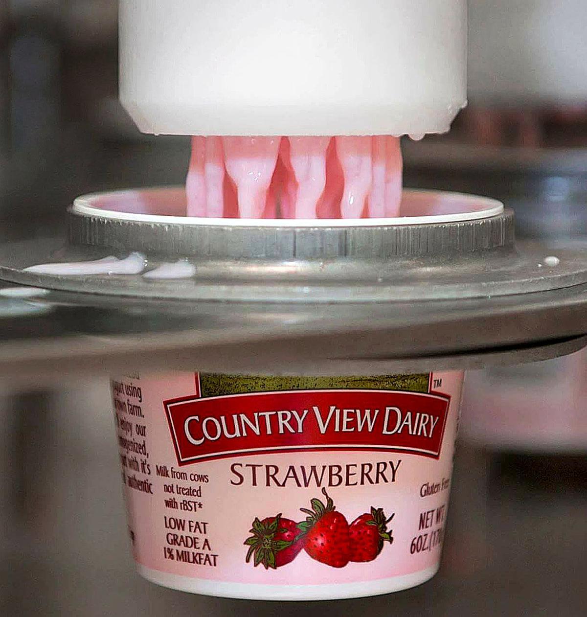 Country View Dairy Creates Yogurt Fro Yo For Farm Future