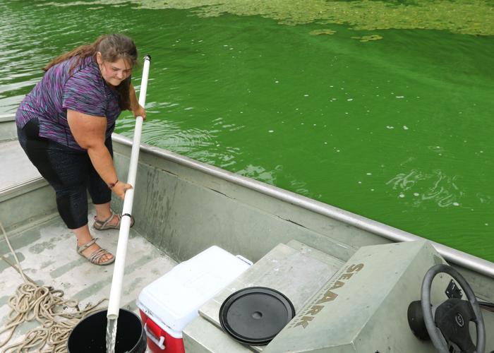 Province says blue-green algae detected in 4 Nova Scotia lakes