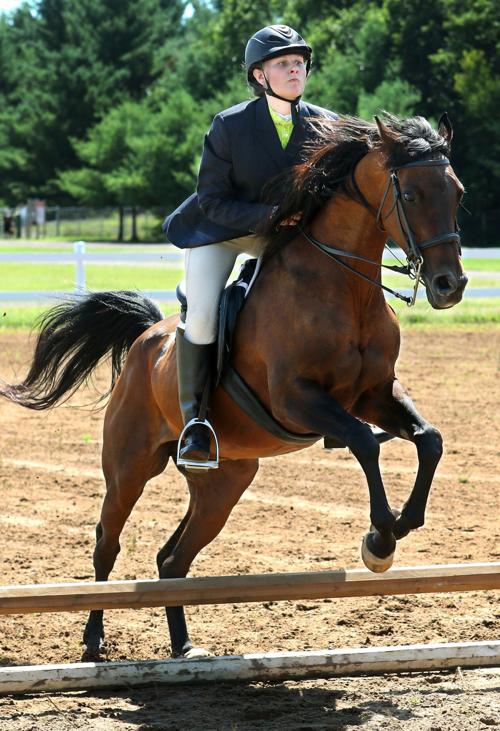 County Fair Horse Show