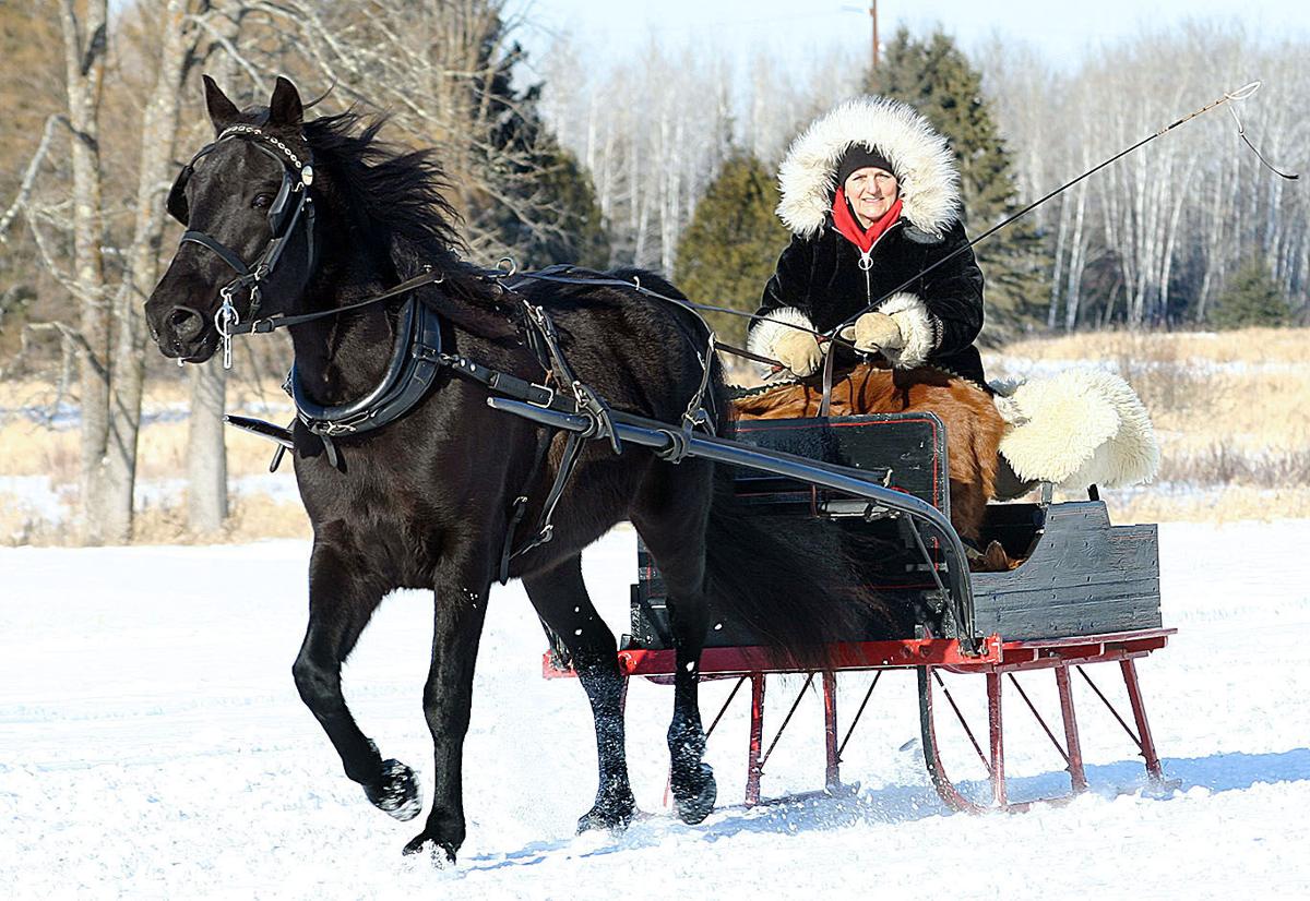 Sleigh and Cutter Rally planned | Horses | leadertelegram.com