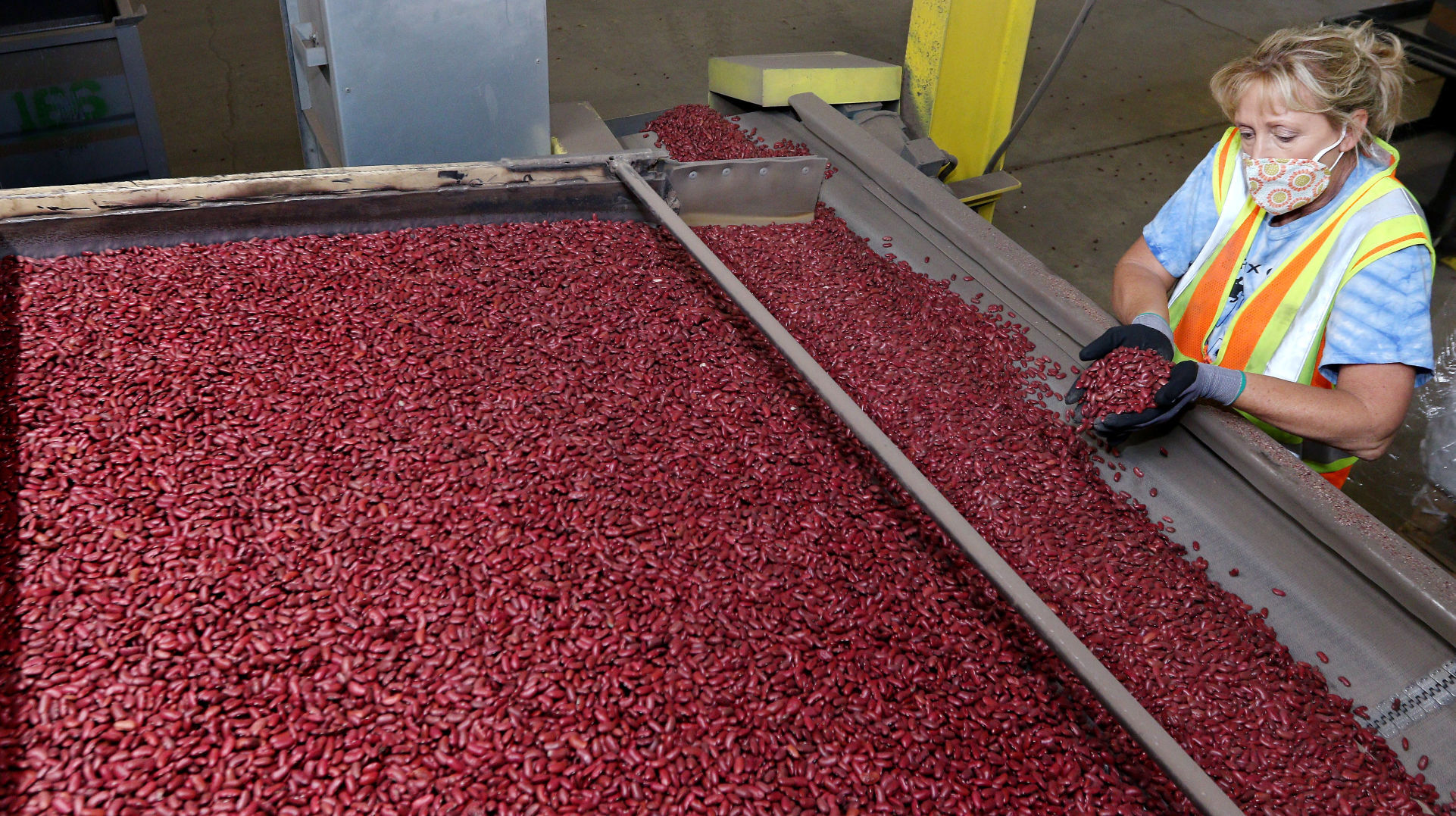 National Bean Day Chippewa Valley Bean showcases global prowess