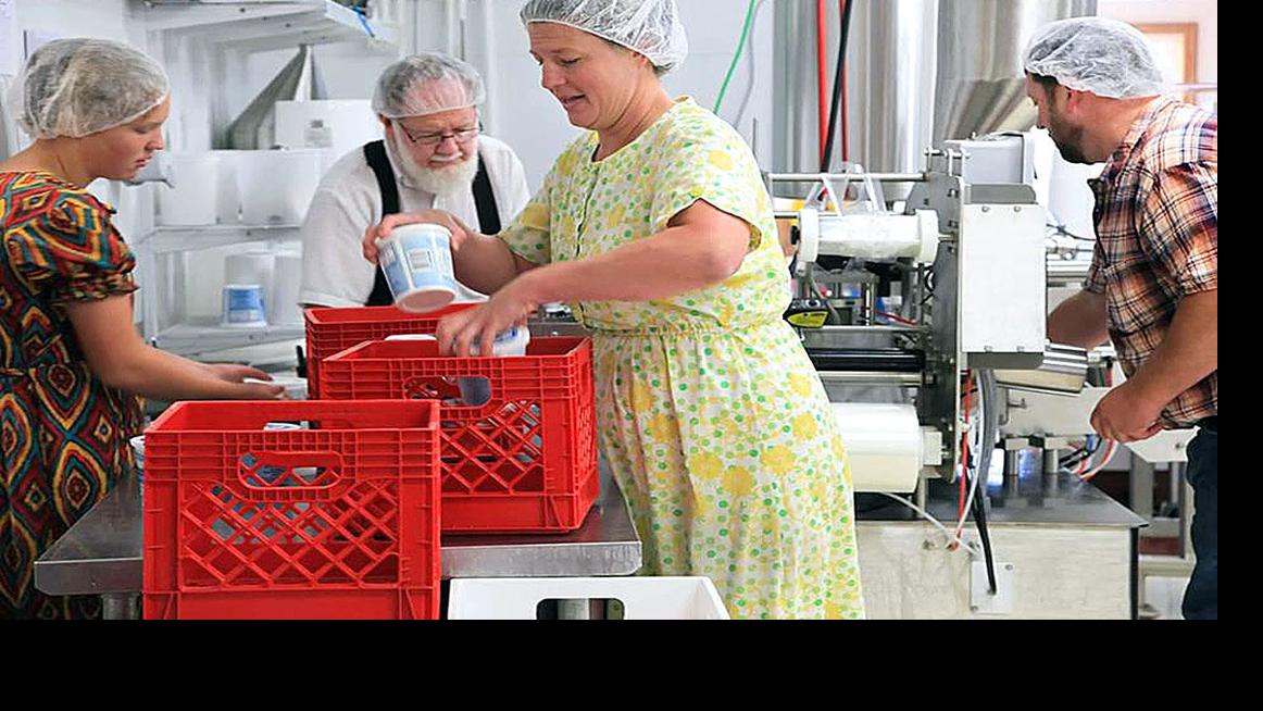 Country View Dairy Creates Yogurt Fro Yo For Farm Future
