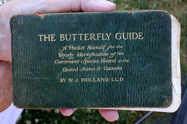 Bloomer's 'butterfly lady' shares passion for raising ...