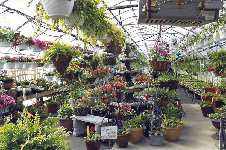 Countywide greenhouse tour kicks off in April Country Life News