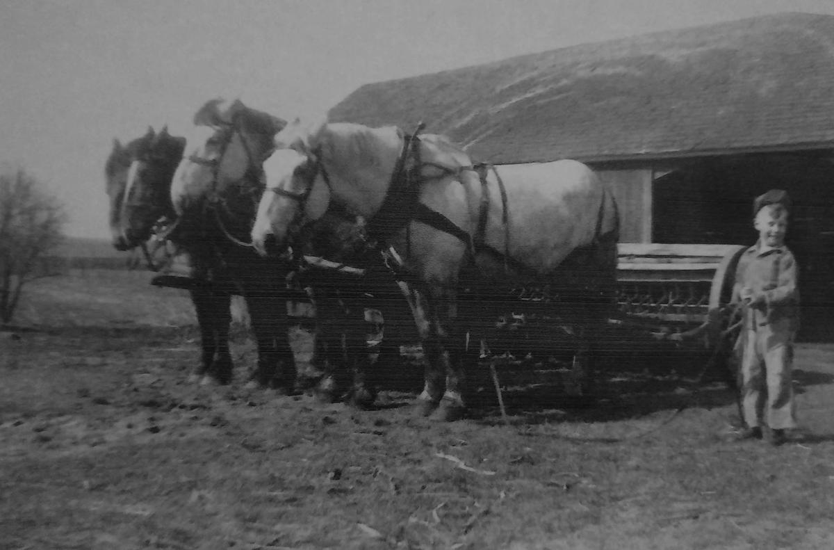 Work Horses On The Farm Yarns Of Yesteryear Leadertelegram Com Address and contact information for yesteryear farm in mount horeb, wisconsin. work horses on the farm yarns of