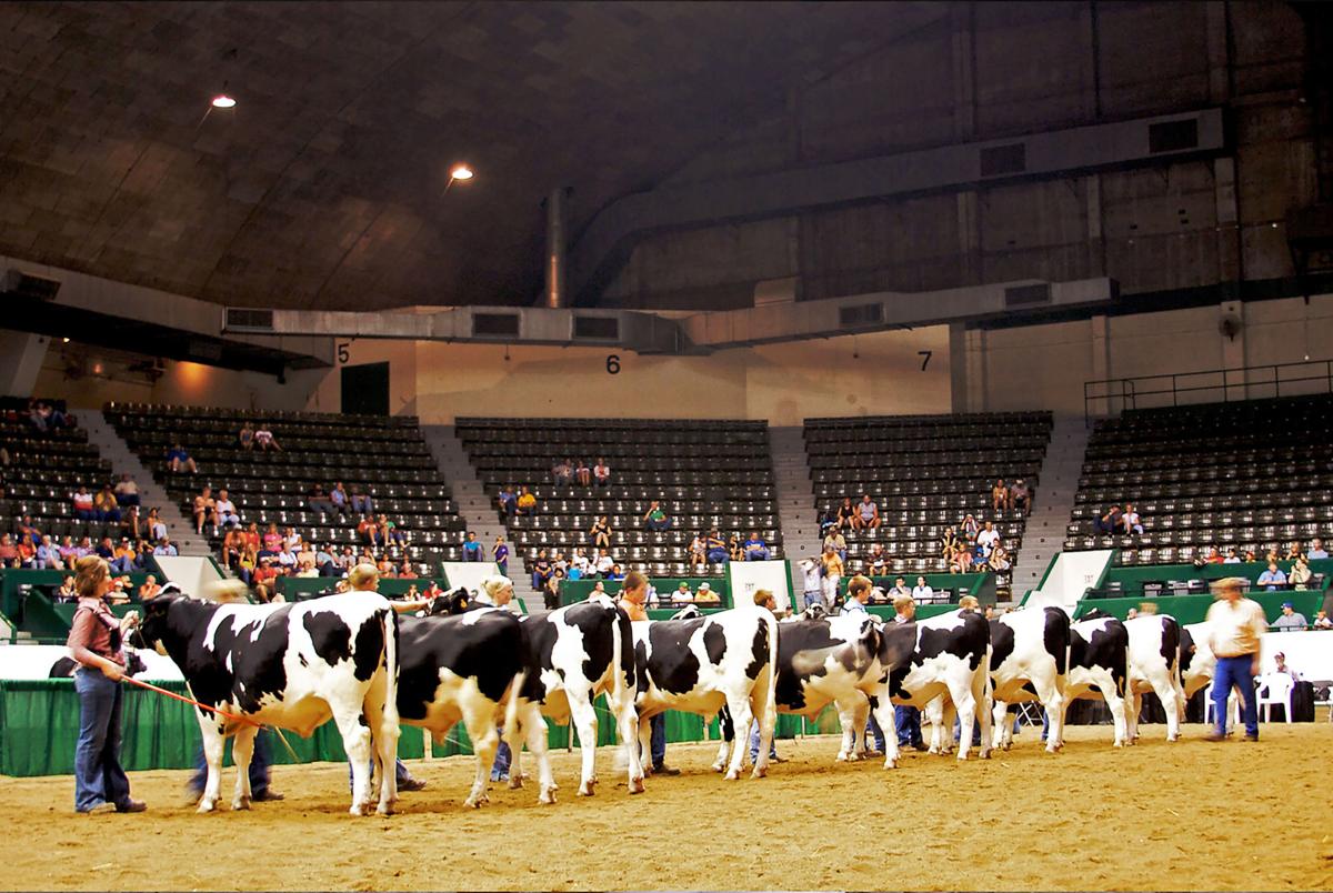 Minnesota State Fair Horse Schedule 2022