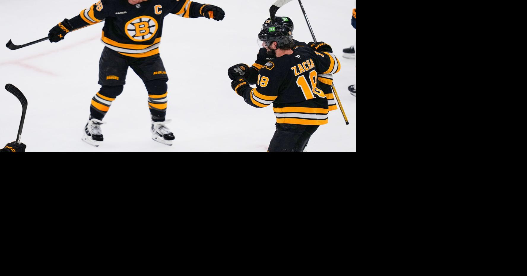 Predators Bruins Hockey