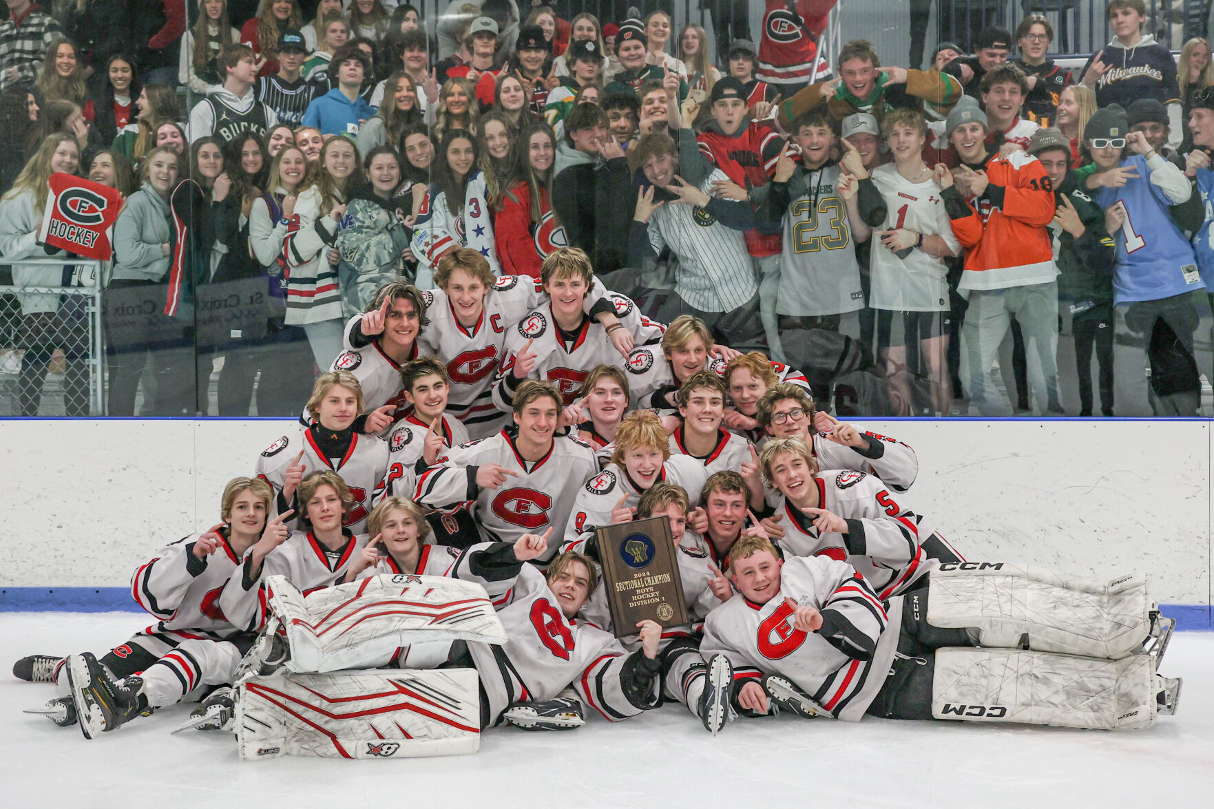 Cardinals looking at boys hockey tournament one game at a time