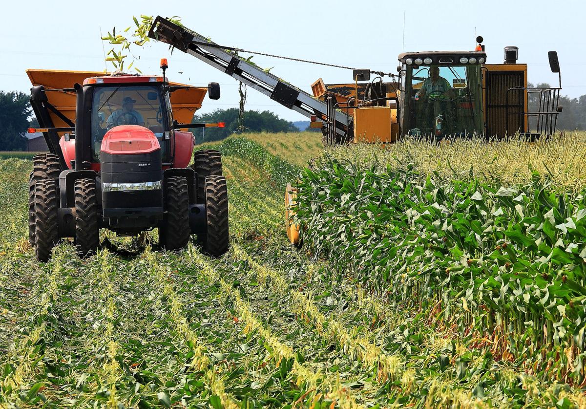 Processing professionals Seneca Foods world’s largest processor of