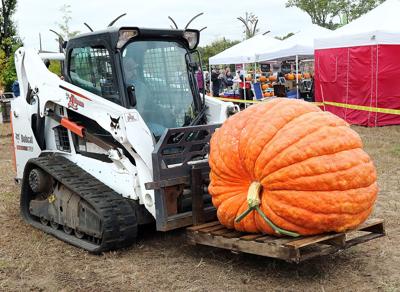 Giant pumpkins returning to Altoona this month | Daily ...
