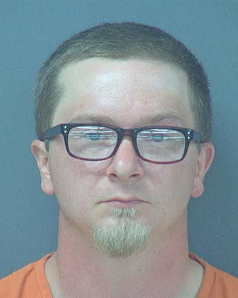 Convicted sex offender accused of sexually touching young girl | Daily ...