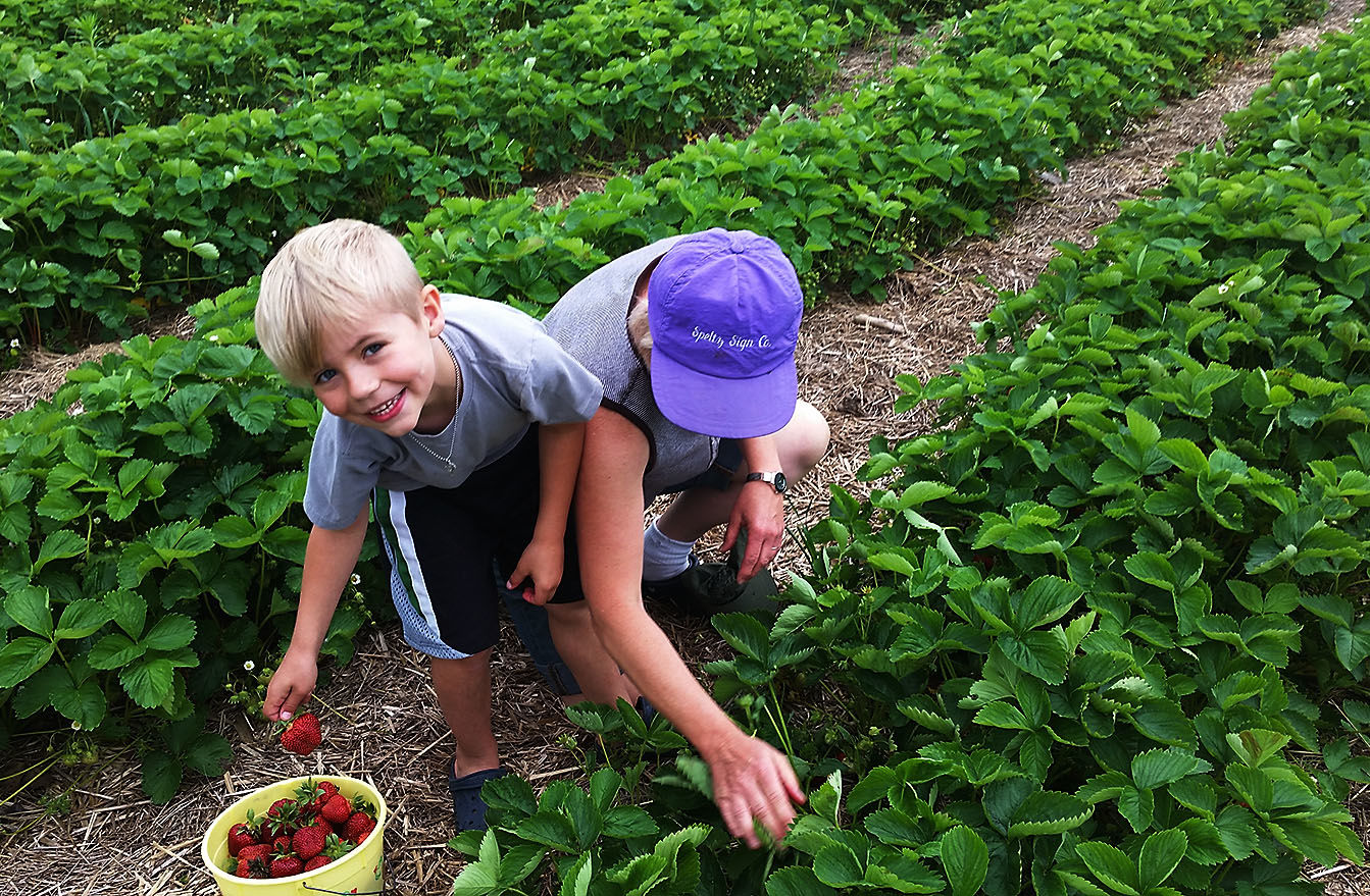 Chippewa Valley strawberry growers have sweet news It s picking