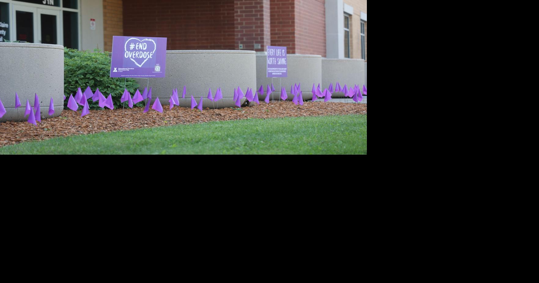 Flag display recognizes Overdose Awareness Day at EC County Government Center