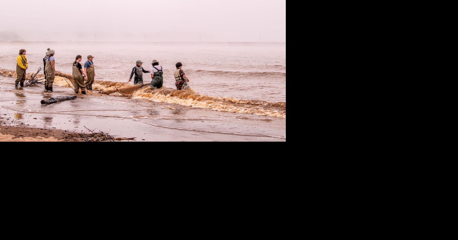 Stout student explore Wisconsin waters, fish zoology during hands-on ...