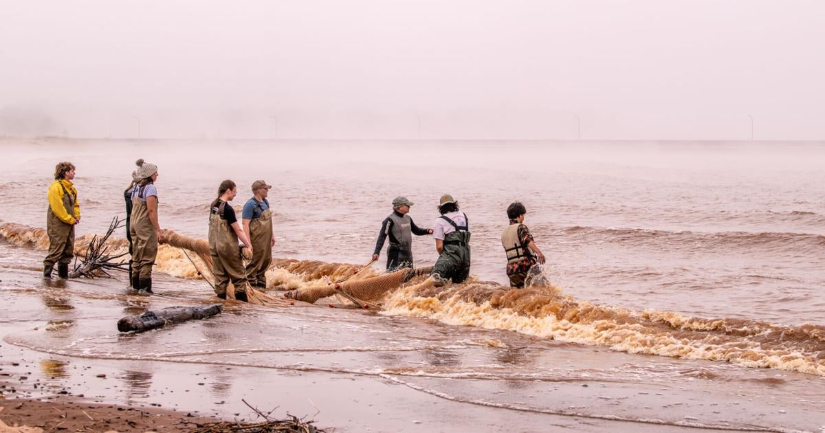 Stout student explore Wisconsin waters, fish zoology during hands-on ...